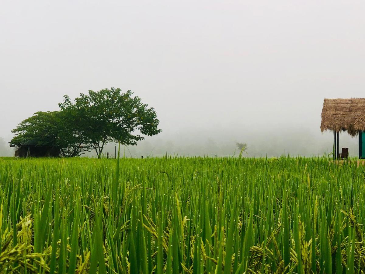 Baan Porhdoi Goidao Villa Chiang Dao Dış mekan fotoğraf