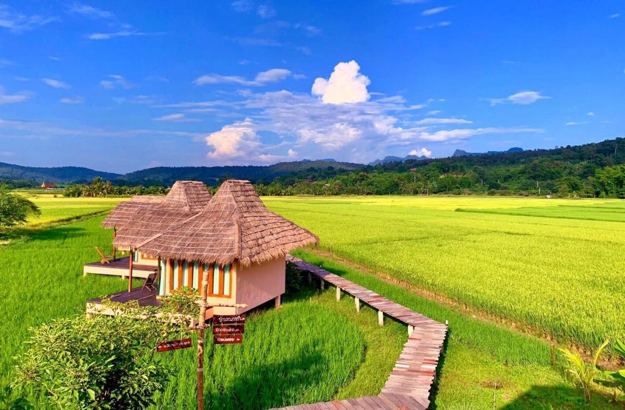 Baan Porhdoi Goidao Villa Chiang Dao Dış mekan fotoğraf