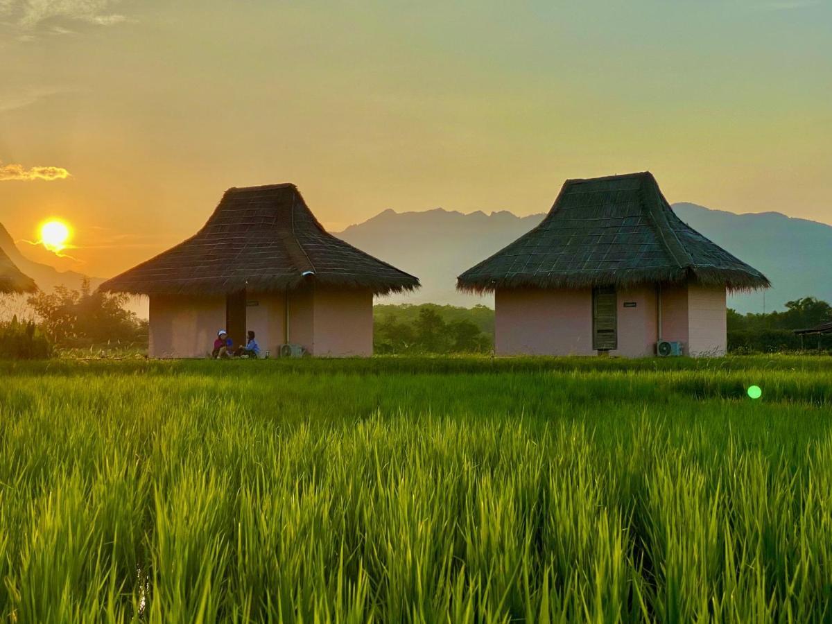 Baan Porhdoi Goidao Villa Chiang Dao Dış mekan fotoğraf