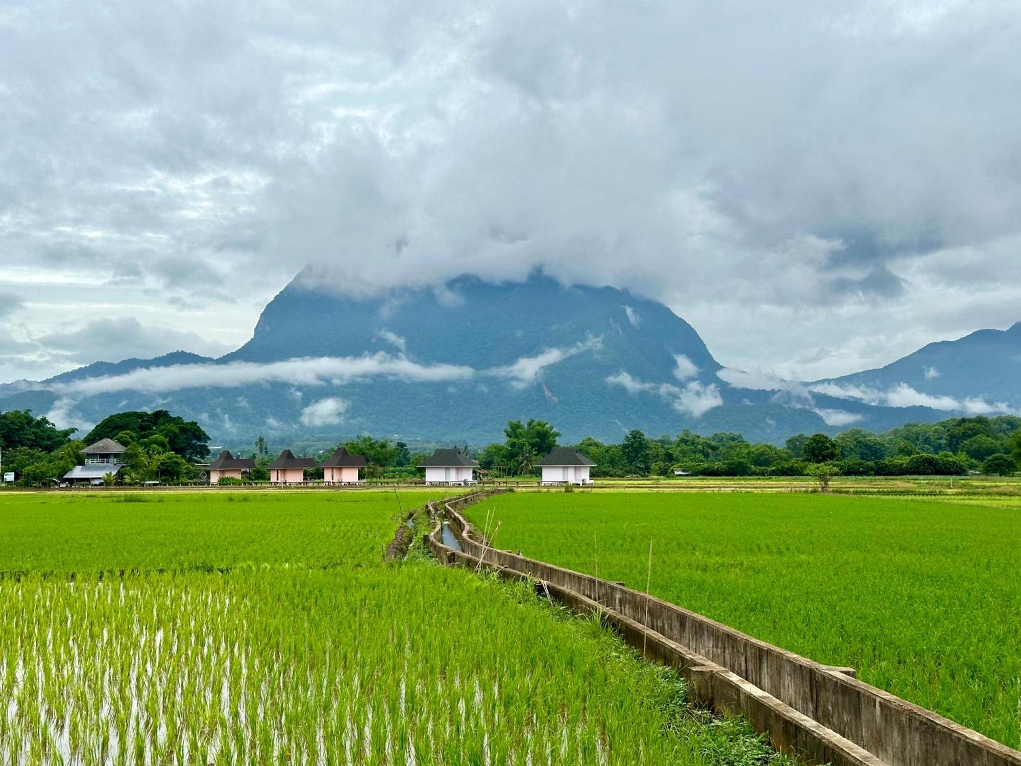 Baan Porhdoi Goidao Villa Chiang Dao Dış mekan fotoğraf